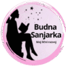 Budna sanjarka